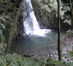 Wasserfall