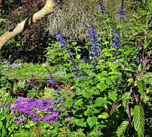 Eindrücke vom Rundgang durch Blandy´s Garden