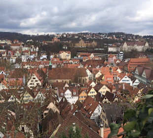 Blick über Tübingen