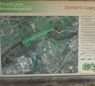 Eduard Lucas Musterobstgarten Mähringen