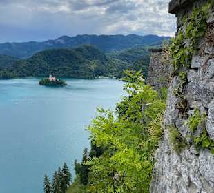 Burg von Bled
