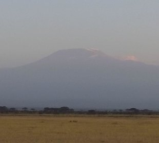 Kili - Sicht vom Amboseli-Park aus