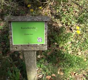 Strauchlehrpfad