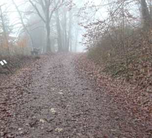 Auernheimer Krippenweg