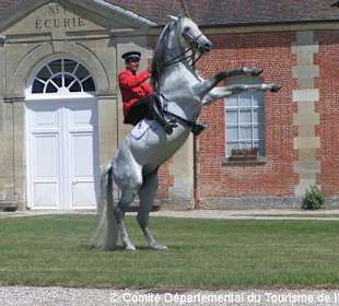 Le Haras National du Pin