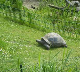 Tierpark Hagenbeck