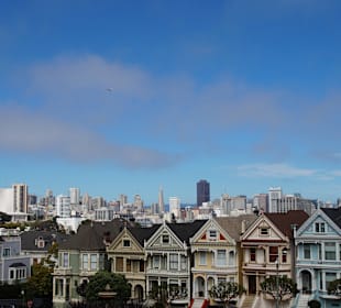Painted Ladies