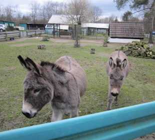 Tierpark Bad Schönborn