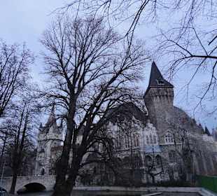 Burganlage Vajda-Hunyad