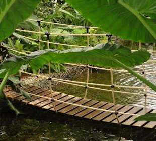 Raffeiner Orchideenwelt