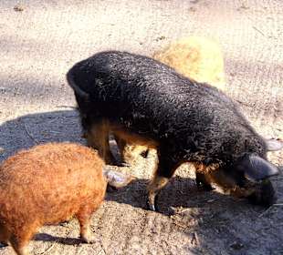 ImpressionOstern2013