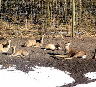 ImpressionOstern2013