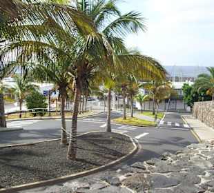 Einfahrt zum Hafen von Puerto Calero