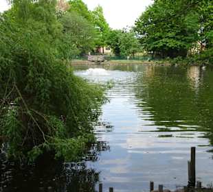 Der zentrale See des Tierparks