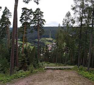 Wandern Enzklösterle