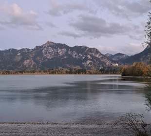 Forggensee