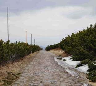 Berg Schneekoppe/Śnieżka