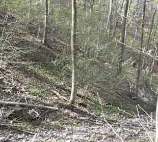 Wanderweg Hochgehkämpft