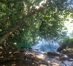 Kroatiens schönster Park