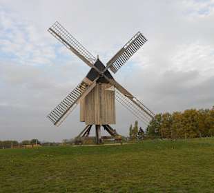 Bockwindmühle 