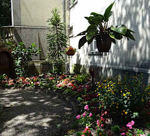 Schloss Schönau "Trompeterschloss"