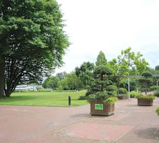 Große Rasenflächen im Kurpark