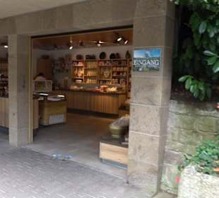 Erlebnispark Tripsdrill