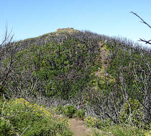 Weg zum Gipfel, das Ziel