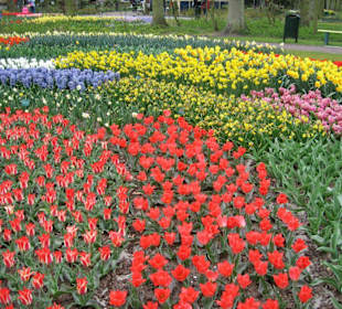 Keukenhof