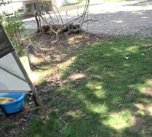 Ausstellung Mehrzeit am Neckar