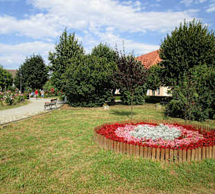 Altstadt Mediaş