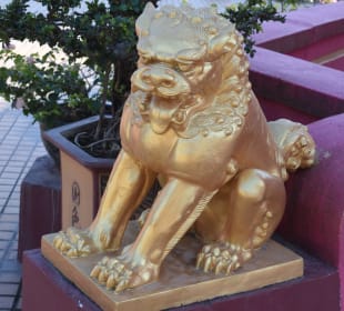 Temple of 10.000 Buddhas