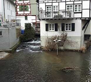 Fischerviertel