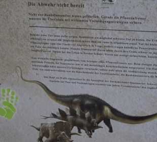 Dinosaurier Museum Altmühltal