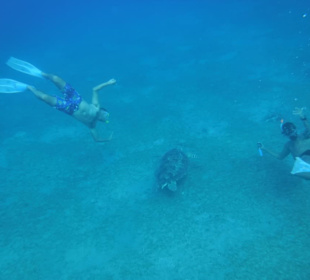  Guide und Fahrer haben Spaß