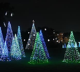 Magic Christmas in Lights