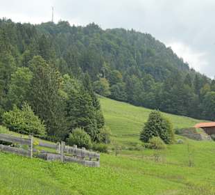 Unterwegs auf dem Premiumwanderweg Kapellensteig