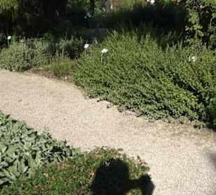 Botanischer Garten München