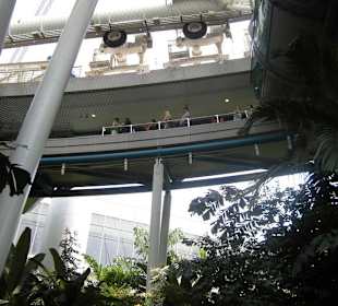 Blick auf den Einstieg