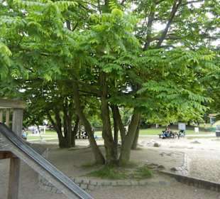 Parkanlage Planten un Blomen