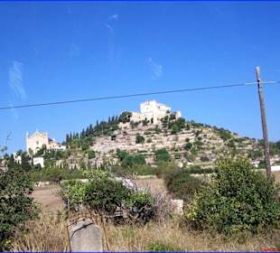 Bustransfer Palma-Cala Rajada