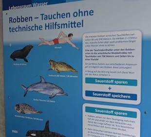 Zoologischer Stadtgarten