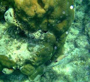 Jednodniowa wycieczka Cayo Largo 