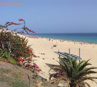 Jandia-Playa del Matorral