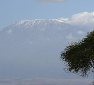 Amboseli