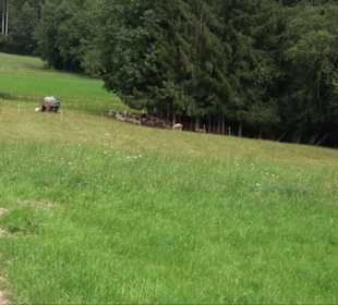 Sonnenaufgangs-Rundwanderung Rübgarten