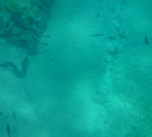 Moräne in etwa 8m Tiefe