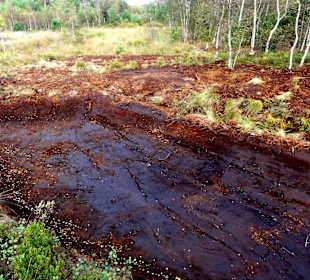 Torfabbau im Moor