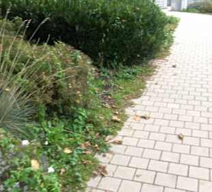 Uferpromenade Friedrichshafen