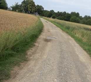 Premiumspazierweg Früchtetrauf-Leisawegle